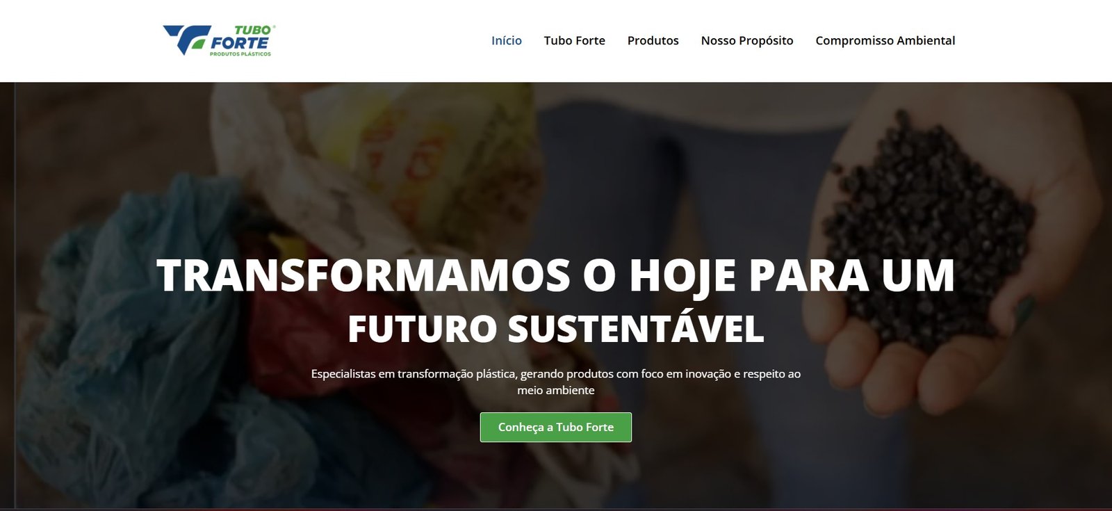 Preview do site Tubo Forte